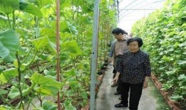 娱乐吃瓜场地图片真实,一场视觉与味蕾的双重盛宴