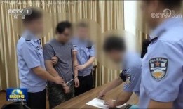海归大厨被爆料视频,揭秘厨艺背后的真相与争议
