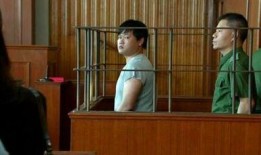 香港碎尸案爆料视频大全,惊悚事件背后的真相与悬疑
