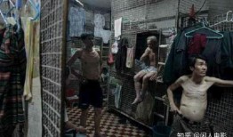 笼民 电影在线观看,揭开社会底层生活真相的震撼之作