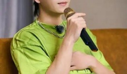 娱乐爆料王栎鑫是谁啊视频,他是如何成为娱乐圈焦点人物的？
