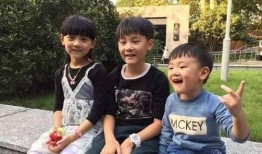 网友爆料保姆视频播放,真实生活背后的惊人细节