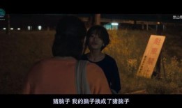 岛国电影在线观看免费,免费畅享电影盛宴