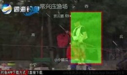 黑坑江湖爆料视频播放下载,揭秘视频播放下载背后的江湖风云