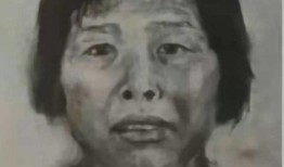 梅姨最新爆料,揭秘政坛惊天秘密