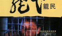 笼民 电影在线观看,揭开社会底层生活真相的震撼之作