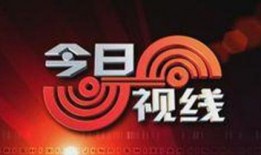 东南卫视爆料新闻热线,新闻热线最新动态揭秘