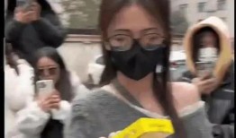 娱乐吃瓜君被网爆,揭秘网络暴力背后的真相