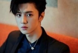 陈哲远娱乐圈爆料视频大全,揭秘明星幕后故事