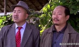 赵四爆料刘能婚礼视频播放,精彩瞬间引网友热议