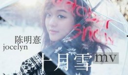 陈明爆料歌曲视频大全播放,歌曲视频大全幕后故事大揭秘