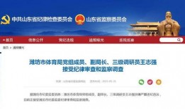 潍坊爆料最新消息新闻,突发事件引发关注，详情即将揭晓