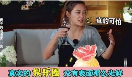 内娱人为什么敢爆料娱乐圈,娱乐圈的勇气与真相
