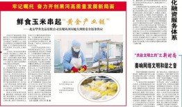 黑河最新爆料新闻报道