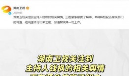 娱乐吃瓜模版,明星恋情曝光，幕后真相竟如此惊人！