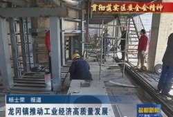 盐城龙冈爆料事件视频,视频揭露惊人真相