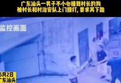 如何爆料村长的人呢视频,视频教你如何巧妙揭露真相