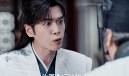 巧舌如簧在线观看,揭秘辩论高手的风采与智慧
