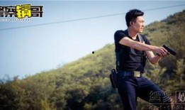 警察锅哥在线观看免费,免费在线观看，揭秘警界风云