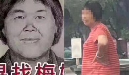 梅姨最新爆料,揭秘政坛惊天秘密