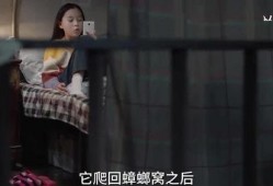 豆姐爆料孩子视频全集