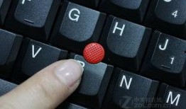 2842在线观看