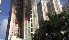 深圳爆料新闻去哪里看,实时追踪，一网打尽最新动态
