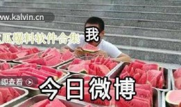 吃瓜爆料 合集视频,揭秘娱乐圈幕后真相
