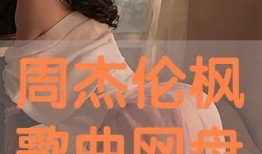 枫 在线观看,在线观看，感受秋日浪漫