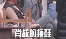 娱乐圈吃瓜大集合下载,揭秘“吃瓜大集合”下载背后的精彩瞬间