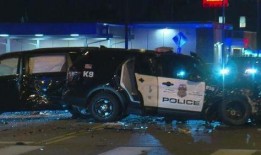 警察爆料的视频大全下载,视频大全背后的真实故事