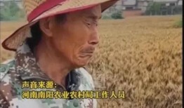 网友爆料老农民视频,老农民的真实生活片段