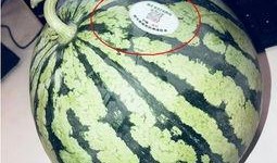 网红吃瓜专区,揭秘娱乐圈幕后故事