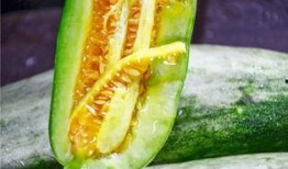 南充网红杜萧吃瓜,揭秘网络红人的真实一面