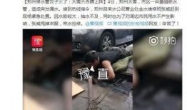 乐山雷哥爆料新闻视频,最新新闻视频内容揭秘